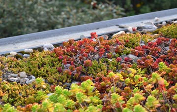 the cost of Heath Cross green roof installation