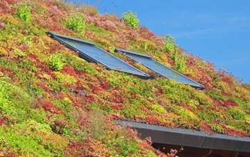 Heath Cross living roof systems